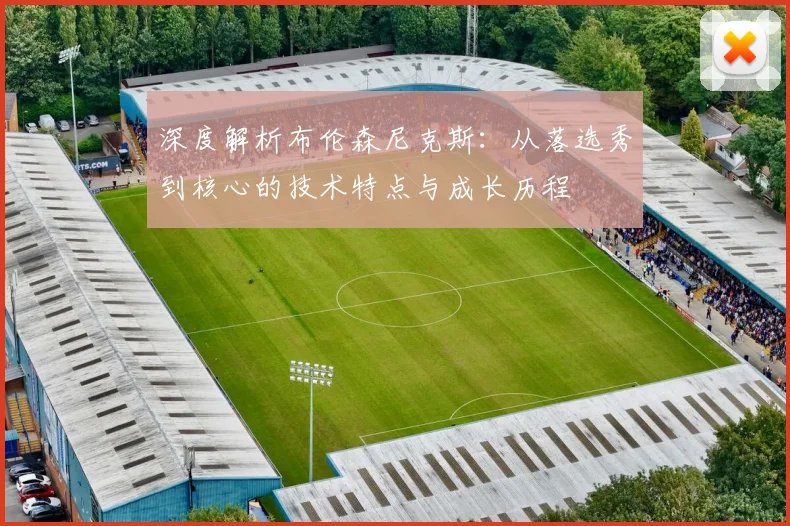 深度解析布伦森尼克斯:从落选秀到核心的技术特点与成长历程