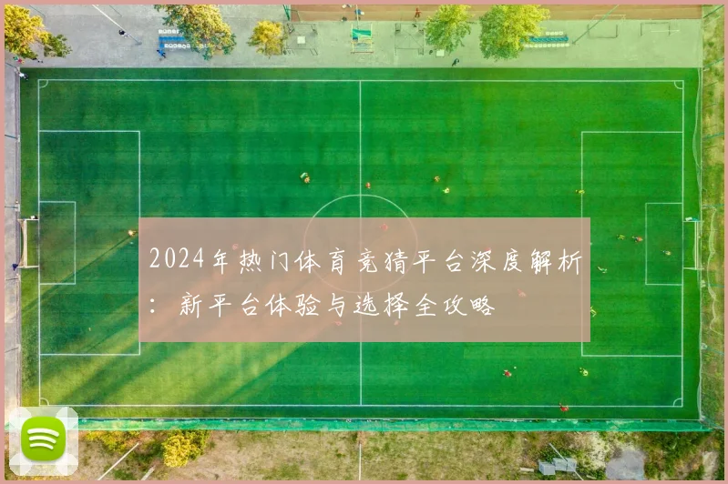 2024年热门体育竞猜平台深度解析：新平台体验与选择全攻略